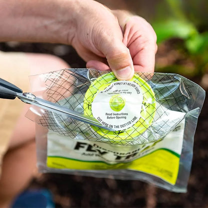 Outdoor 3 Pack Flytrap
