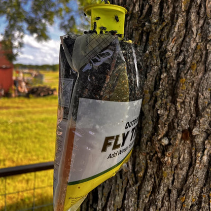 Outdoor 3 Pack Flytrap